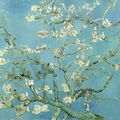 Винсент Ван Гог - Цветущие ветки миндаля